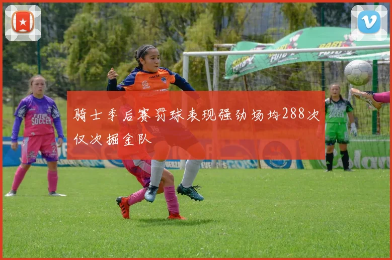 骑士季后赛罚球表现强劲场均288次仅次掘金队