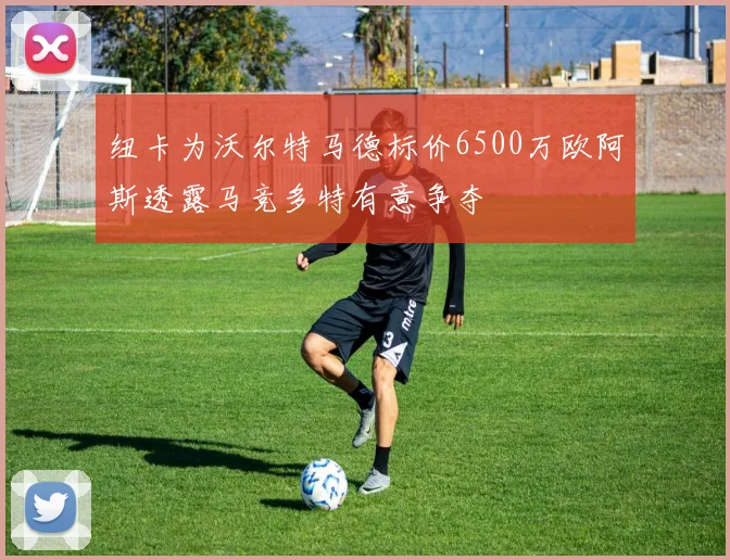 纽卡为沃尔特马德标价6500万欧阿斯透露马竞多特有意争夺